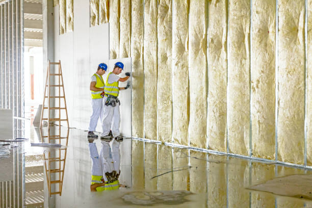 Best Residential Insulation Services  in South Hooksett, NH